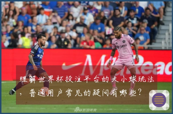 理解世界杯投注平台的大小球玩法，普通用户常见的疑问有哪些？