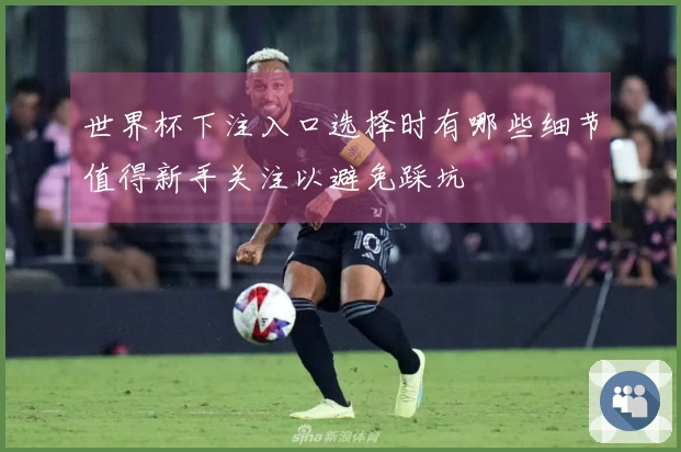 世界杯下注入口选择时有哪些细节值得新手关注以避免踩坑